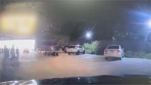 屏東枋寮超商外驚見「羊群」　飼主獲報到場：圍欄鬆脫