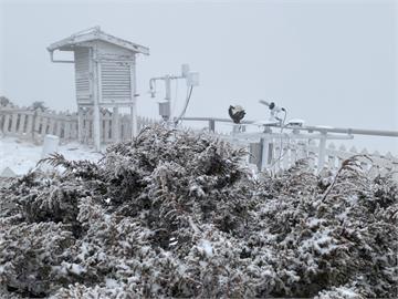 快新聞／玉山下雪了！積雪1.5公分　「銀白世界」猶如仙境照片曝