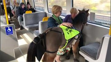引導視障人士 英國首匹導盲馬地鐵實戰