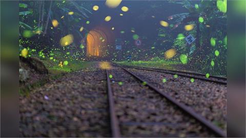 「2026螢光奇緣」跟著「獨角龍豆豆&豆比」走進嘉義縣　 共賞春夜螢光之美