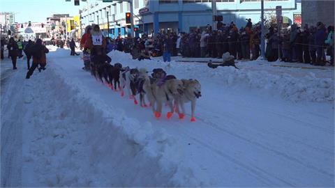 阿拉斯加年度盛事　「艾迪塔羅德狗拉雪橇賽」起跑
