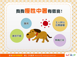 【汪汪康健】日頭赤炎炎！狗狗慢性中暑的4大徵兆！