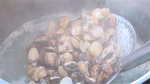 颱風炸雨「文蛤大量暴斃」！批發價每台斤「飆到這數字」創新高