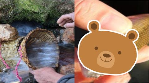 中國湖北洞穴年年「吐魚」萬斤　村民狂撈「瀕危物種」專家氣炸！