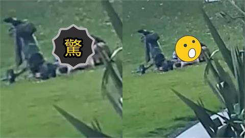 女子慢跑驚見情侶「16洞果嶺上交纏」！野外激戰畫面流出…網笑：一桿進洞