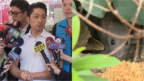 「台北變米奇樂園」蔣萬安猛被批！莊瑞雄親揭「56年前全台1招狂滅」：切尾巴可以…
