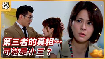 《好運來-EP187精彩片段》  第三者的真相…可薇是小三？