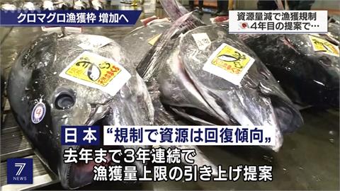 黑鮪捕撈上限提高15%　日本捕撈量增逾900噸