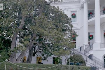 白宮200年老樹嚴重腐爛 第一夫人下令砍樹