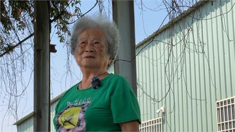 大港開唱阿嬤尬舞爆紅！　受邀任台鋼雄鷹開球嘉賓