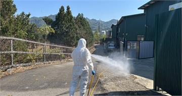 禽流感入侵豐原蛋雞場「7千隻雞急撲殺」　業者私自掩埋恐罰百萬