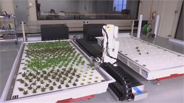 開心農場夯！機器人變身農夫種菜給你吃