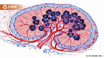 不菸不酒超養生竟罹腎癌！體內「永遠化學物質」超標