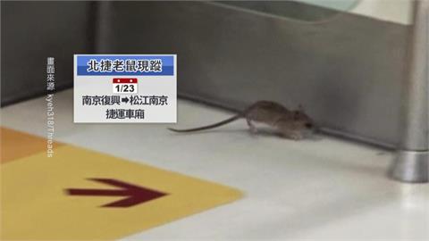 北捷聲明「老鼠是旅客背包竄出」　網友：這說法太牽強