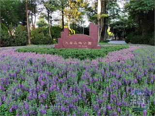 建商二代欠稅2億　拍賣大安森林公園旁土地驚人單價曝光
