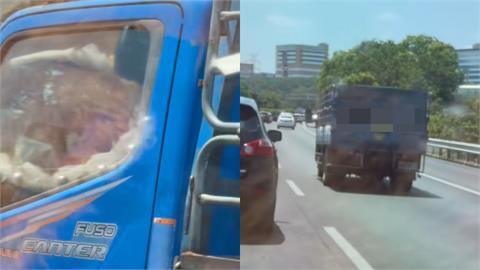 國道1號超離譜畫面曝光了！貨車駕駛「低頭玩手遊半小時」網怒轟：不要命