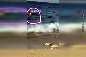 太惡劣！浮潛客隨意抓起綠蠵龜把玩 最高可罰30萬元