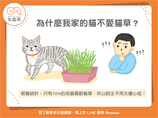 【汪喵餵養知識】奇怪膩～為什麼我家的貓不愛貓草？