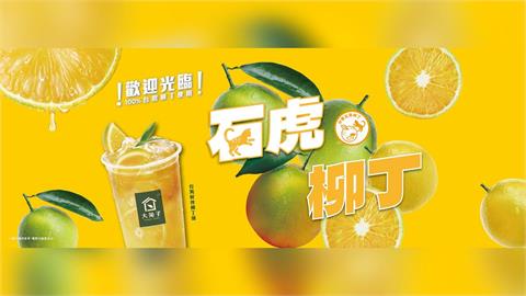 快新聞／大苑子註冊石虎柳丁商標竟「一顆都沒買」　業者急取消商標申請