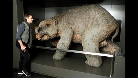 像袋熊又像袋鼠！　史前動物雙門齒獸年齡12.3萬年