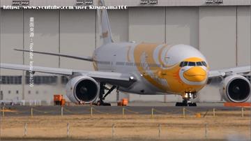 難過疫情關！酷鳥航空宣布退出市場 民眾退票恐落空