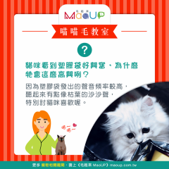 【喵喵毛教室】塑膠袋的神奇魔力在哪裡？高頻聲音像枯葉！