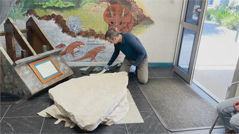 岩石發現恐龍足跡！　「縮小版暴龍」雙腳站立走路