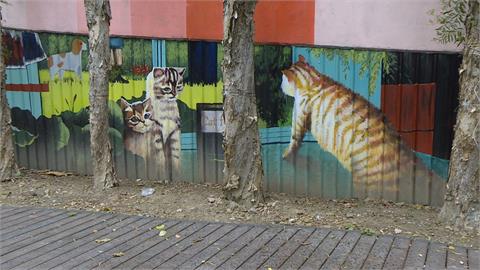 北市首座貓公園歡迎「遛貓」　網友評價兩極！
