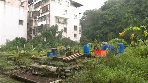「市」外桃源？走路5分鐘到捷運站的菜園　建商用「這價格」買走