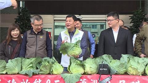 高麗菜價崩跌！　議員攜手新北警合購3500顆免費發送