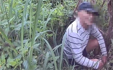 樹人？通緝犯香蕉葉藏身躲警　　仍被發現逮補送辦