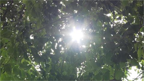 雙北花東亮高溫燈號　花蓮玉里飆37.9度