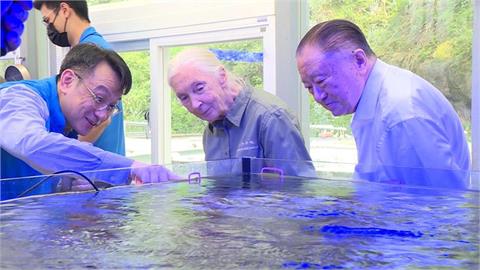 國際保育專家珍古德辭世　享壽91歲
