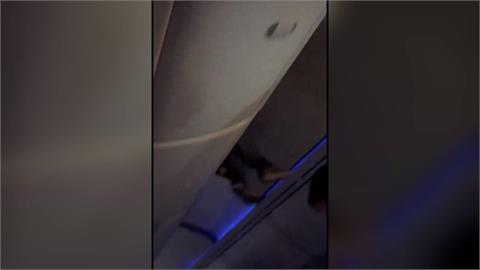 波音又出包！遇亂流「乘客瞬間被拋飛」　壯漢整個人「塞進頭頂行李箱」