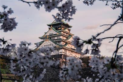 衝大阪旅遊「沒帶日圓」打咩！達人揭1費用「入住時加收」生效日曝