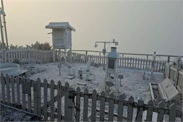 冷氣團發威阿里山睽違8年下雪　玉山現霧淞奇景