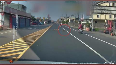 橘貓馬路竄出「猛撞機車」　騎士反應不及連人帶車慘摔滑行