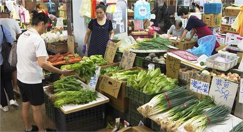 快新聞／蔥怪、香菜人哭了！山陀兒逼近「蔬菜批發價」暴衝　最新菜價曝光