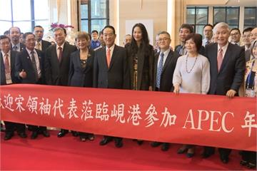 宋抵越南峴港 首席顧問鄧振中沒簽證未出發