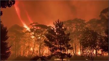 澳洲野火燒不停！新南威爾斯進入緊急狀態