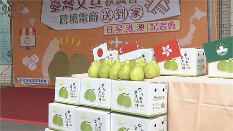 農委會推跨境電商拚外銷！　文旦柚銷量較去年同期成長5成