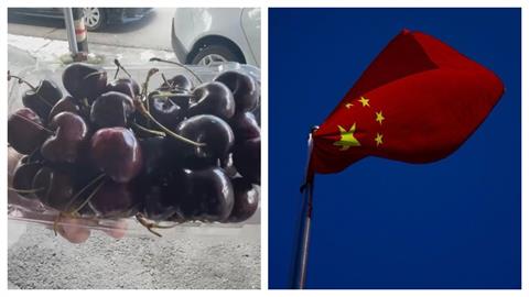 拒盲目依賴中國！智利櫻桃大砍30%出口量　「內耗內幕曝光」轉移4大市場