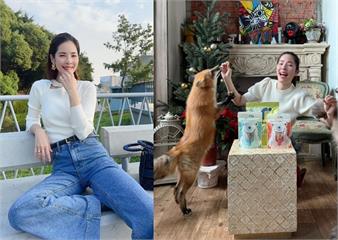 千萬善款淪私人金庫！身障協會爆假公益真斂財　名模理事養狐狸炫富