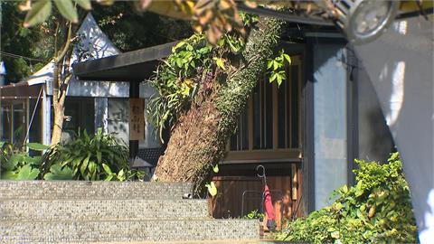 陽明山秘境餐廳占國有地! 法院判838坪建物全剷平返還