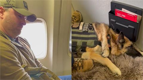 癌末軍犬最後一次搭飛機「全艙乘客為牠喝采」！狗狗「反應太靈性」逼哭主人：牠懂