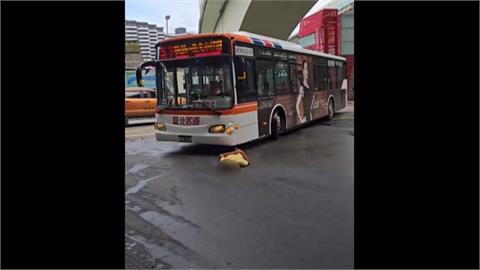 新北公車撞行人腦出血　車內2車客受傷送醫