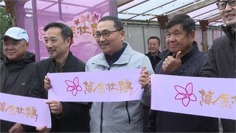 「馬上出花」！ 萬金杜鵑花展登場　侯友宜邀全民來賞花