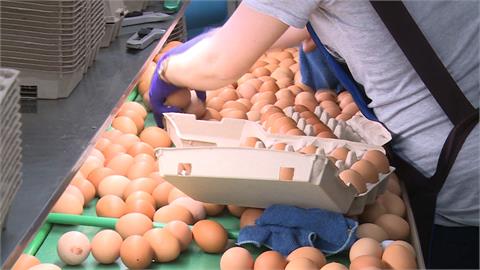 進口蛋負面爭議攻擊　卜蜂董座：過期蛋是不影響蛋農收入必要報廢品