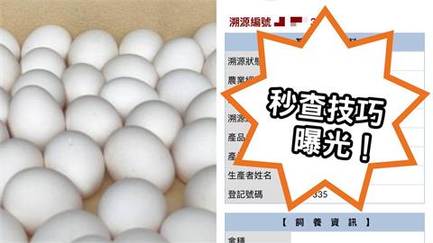 15萬顆毒雞蛋流市場嚇壞婆媽　資深菜販曝1招查「市場散裝蛋」履歷！