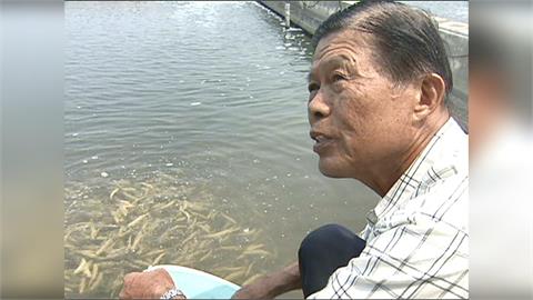 憾! 屏東虱目魚之父林烈堂 巡魚塭意外驟逝享年89歲